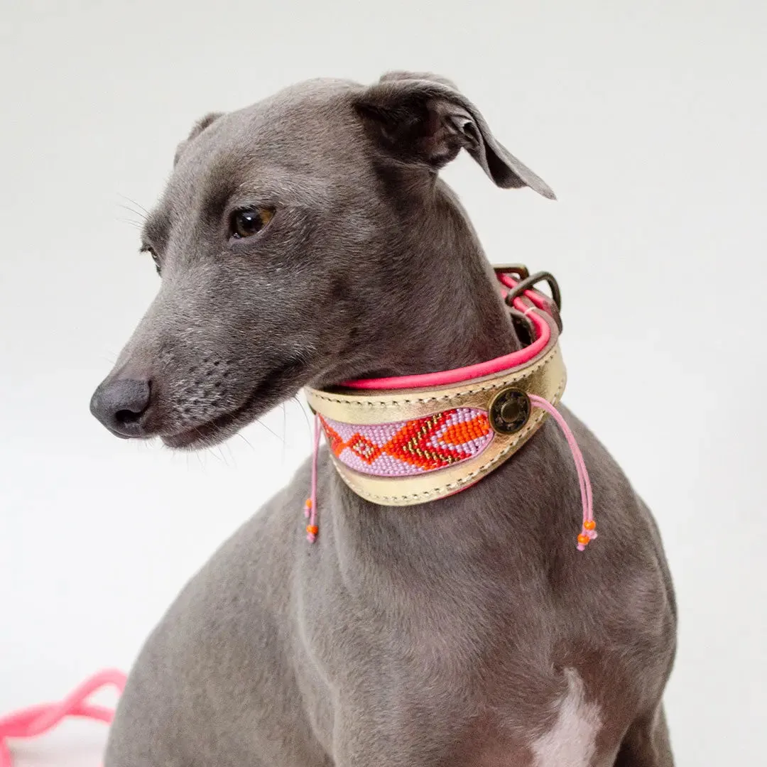 Halsband für Windhunde "Golden Greyhound"