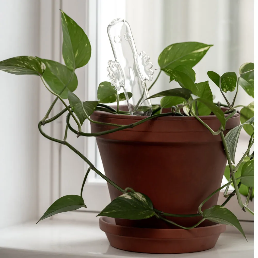 Hattifattener Watering Bulb- Muurla