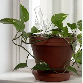 Hattifattener Watering Bulb- Muurla