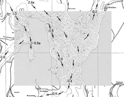 Tidal Currents of Puget Sound